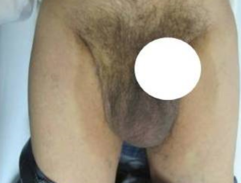 Rounded Image